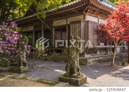 新緑に包まれる長安寺の境内 125916647