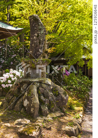 新緑に包まれる長安寺の境内 125916648