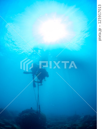 スクーバダイビング用のブイを下から見ている。ヒリゾ浜中木南伊豆町伊豆半島静岡県2024 125917013