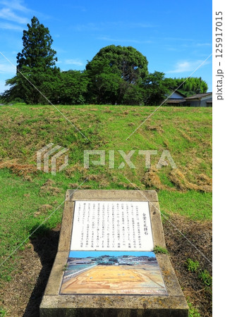 特別史跡　山田寺跡 125917015