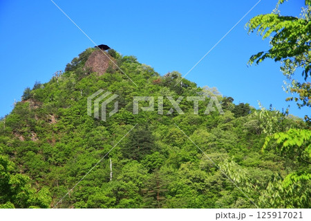 新緑の鷹の巣山 新緑の鷹の巣山 125917021