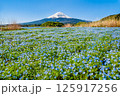 初夏の富士山　～ネモフィラの咲く河口湖大石公園～ 125917256