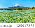 初夏の富士山　～ネモフィラの咲く河口湖大石公園～ 125917272