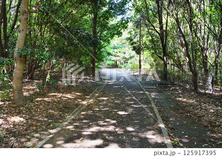 谷津干潟公園 遊歩道(千葉県習志野市) 谷津干潟公園 遊歩道(千葉県習志野市) 125917395