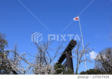 靖国神社の大鳥居と日の丸 125917426