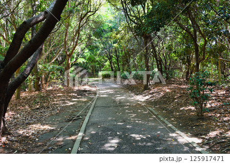 谷津干潟公園　遊歩道（千葉県習志野市） 125917471