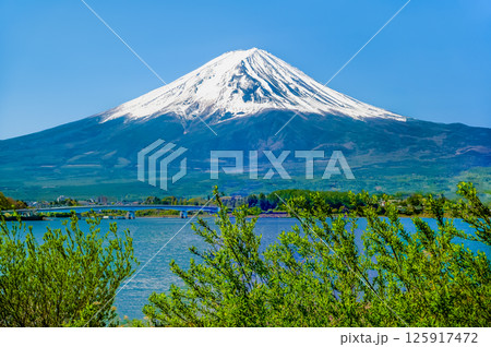 農鳥が現れた初夏の富士山　河口湖 125917472