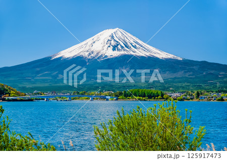 農鳥が現れた初夏の富士山　河口湖 125917473