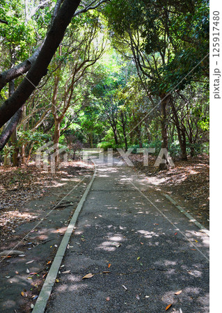 谷津干潟公園 遊歩道(千葉県習志野市) 谷津干潟公園 遊歩道(千葉県習志野市) 125917480