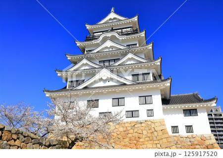 【広島県】桜咲く春の福山城（復興後）福山城桜まつり 125917520