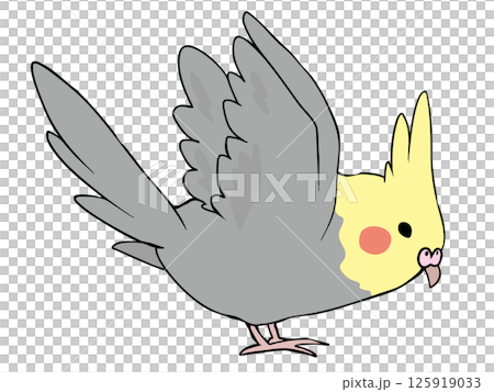 色とりどり オカメインコ 飛ぶ 色とりどり オカメインコ 飛ぶ 125919033