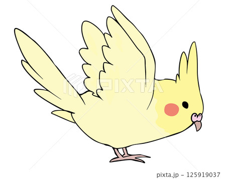 色とりどり オカメインコ イエロー 飛ぶ 125919037