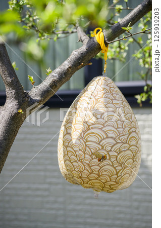 ダミーの蜂の巣 ダミーの蜂の巣 125919203