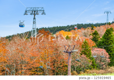 山形 紅葉に染まる蔵王 山形 紅葉に染まる蔵王 125919465
