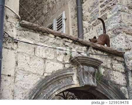 モンテネグロ・コトルの城塞都市 125919478