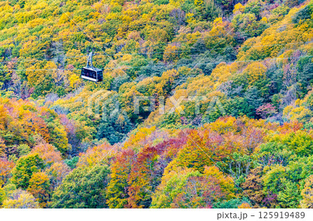 山形 紅葉に染まる蔵王 山形 紅葉に染まる蔵王 125919489