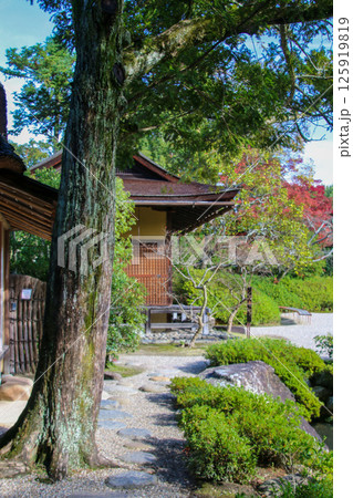 依水園 依水園 125919819