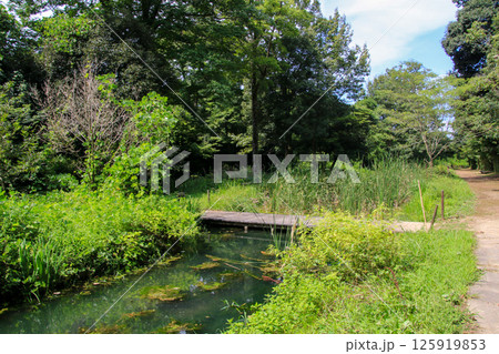 河辺いきものの森 河辺いきものの森 125919853