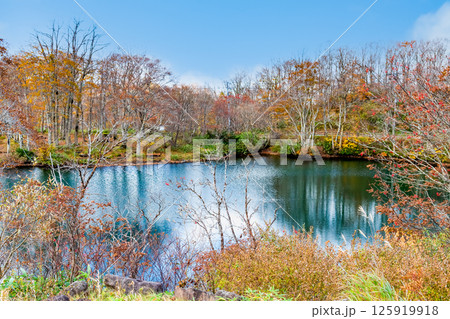 山形 紅葉に染まる蔵王中央高原　ドッコ沼 125919918