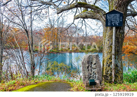 山形 紅葉に染まる蔵王中央高原 ドッコ沼 山形 紅葉に染まる蔵王中央高原 ドッコ沼 125919919