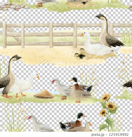 Watercolor geese and ducks on farm seamless pattern on white. Poultry yard birds with wooden fence, sunflowers and grass in hand drawn realistic style. Summer farm repeat background in brown green 125919992