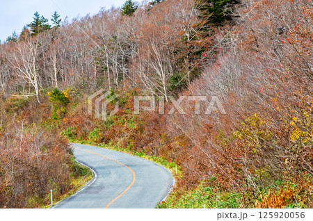 紅葉に染まる蔵王エコーライン 125920056