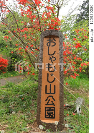 埼玉県鳩山町おしゃもじ山公園のつつじ 125920086