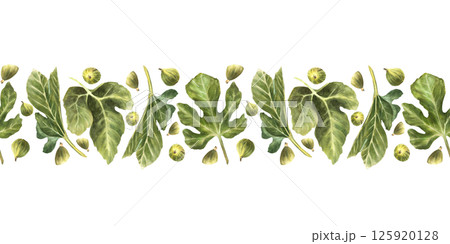 Watercolor fig and leaves seamless border. Realistic hand painted green plant botanical horizontal repeating pattern design for fabric, packaging. Hand drawn illustration on Isolated white background  125920128