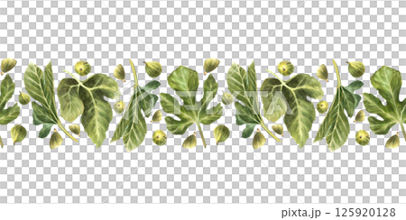 Watercolor fig and leaves seamless border. Realistic hand painted green plant botanical horizontal repeating pattern design for fabric, packaging. Hand drawn illustration on Isolated white background  125920128