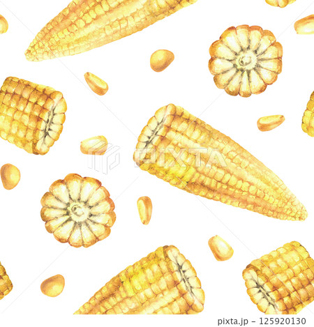 Corn seamless pattern Yellow kernels, cut corncobs or sweet golden maize plant cobs pieces and seeds. Watercolor hand drawn illustration for canned food label, fabric. Isolated from background clipart Corn seamless pattern Yellow kernels, cut corncobs or sweet golden maize plant cobs pieces and seeds. Watercolor hand drawn illustration for canned food label, fabric. Isolated from background clipart 125920130