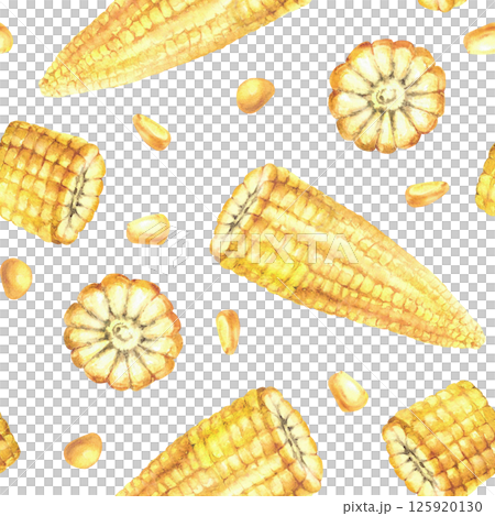 Corn seamless pattern Yellow kernels, cut corncobs or sweet golden maize plant cobs pieces and seeds. Watercolor hand drawn illustration for canned food label, fabric. Isolated from background clipart 125920130