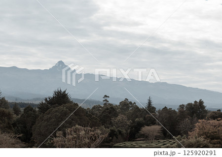 Kenya Photographers By Antony Trivet Photography Kenya Photographers By Antony Trivet Photography 125920291