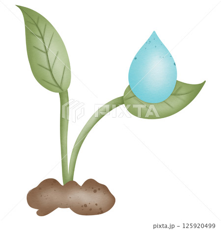Seedlings and water drops on seedling leaves hand drawn transparency illustration 125920499