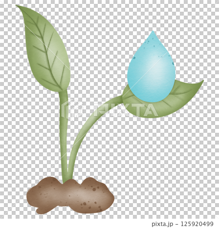 Seedlings and water drops on seedling leaves hand drawn transparency illustration 125920499