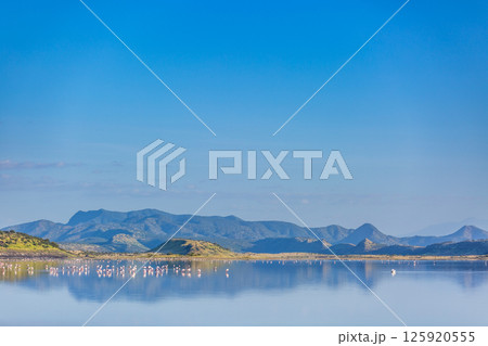 Kenya Photographers By Antony Trivet Photography 125920555