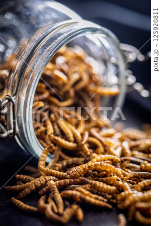 Dried salted worms. Roasted mealworms in jar on black table. 125920811