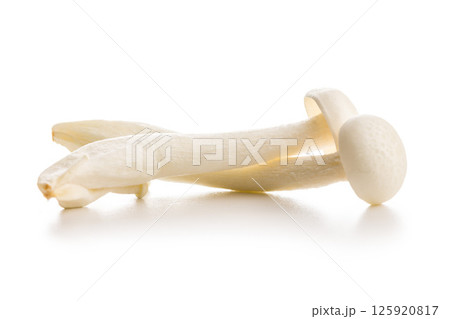 Raw white shimeji mushrooms isolated on white background. Raw white shimeji mushrooms isolated on white background. 125920817