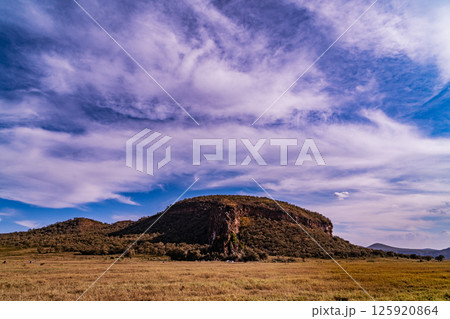 Kenya Photographers By Antony Trivet Photography Kenya Photographers By Antony Trivet Photography 125920864