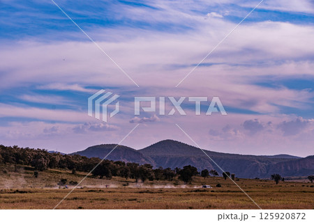 Kenya Photographers By Antony Trivet Photography 125920872