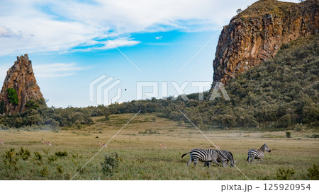 Kenya Photographers By Antony Trivet Photography Kenya Photographers By Antony Trivet Photography 125920954