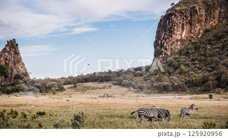Kenya Photographers By Antony Trivet Photography 125920956