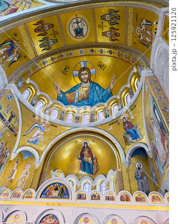 セルビアの聖サバ教会堂 125921120