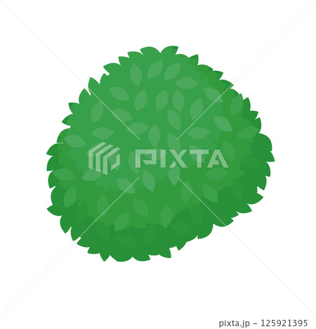 丸い植え込みのイラスト 125921395