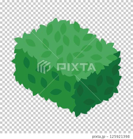 四角い植え込みのイラスト 四角い植え込みのイラスト 125921398