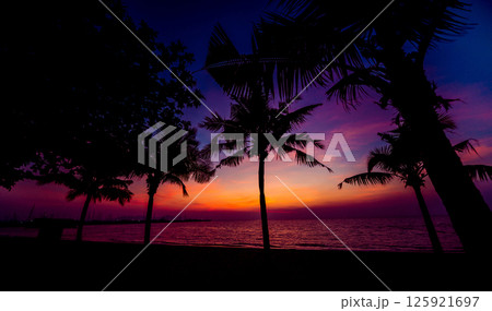 Beautiful tropical beach with palm trees. Sunrises and sunsets. Ocean. 125921697