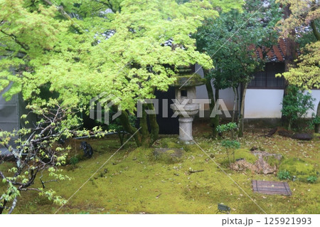 仁和寺の白書院の庭 仁和寺の白書院の庭 125921993