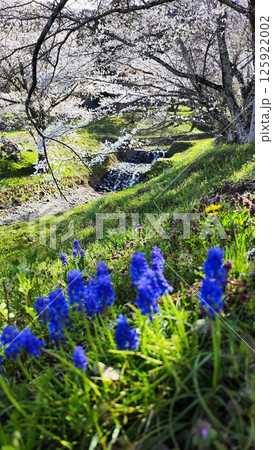 霞間ヶ渓の自然は、あなたの心を包み込む 霞間ヶ渓の自然は、あなたの心を包み込む 125922002