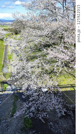 霞間ヶ渓の自然は、あなたの心を包み込む 霞間ヶ渓の自然は、あなたの心を包み込む 125922015