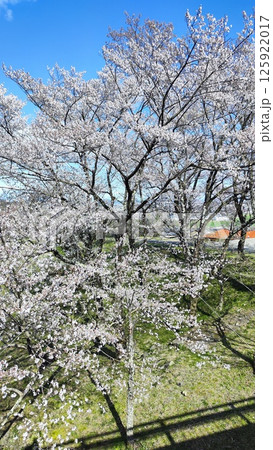 霞間ヶ渓の自然は、あなたの心を包み込む 125922017