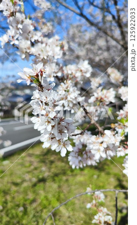 霞間ヶ渓の自然は、あなたの心を包み込む 霞間ヶ渓の自然は、あなたの心を包み込む 125922033